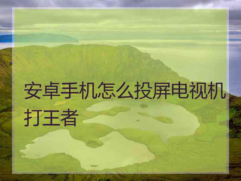 安卓手机怎么投屏电视机打王者