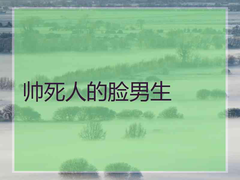 帅死人的脸男生