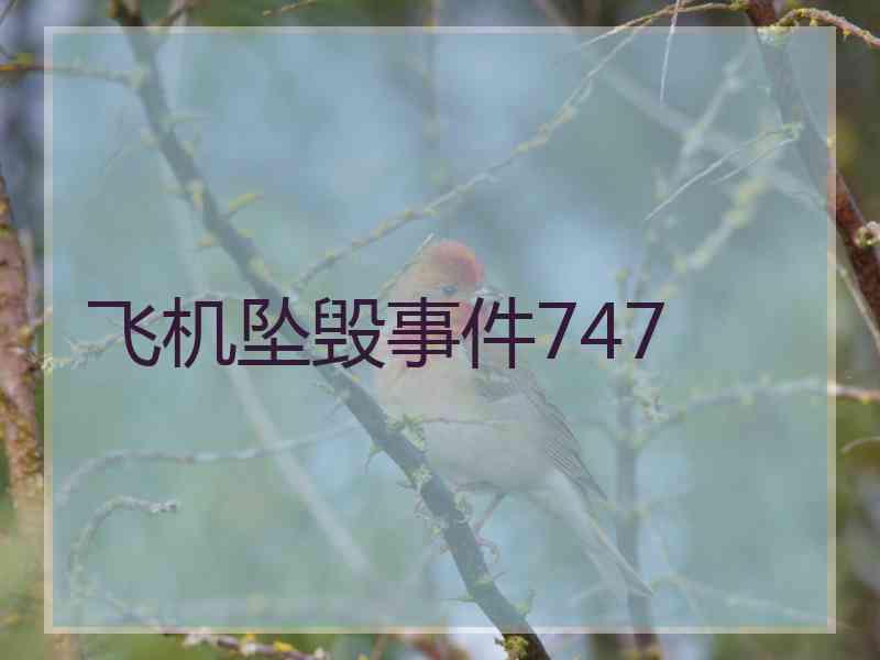 飞机坠毁事件747