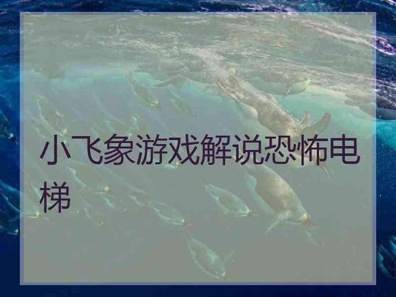 小飞象游戏解说恐怖电梯
