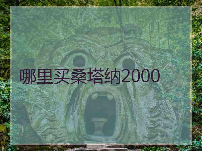 哪里买桑塔纳2000