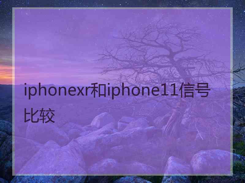 iphonexr和iphone11信号比较
