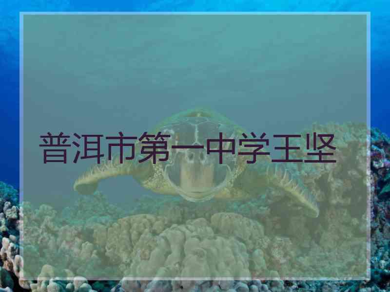 普洱市第一中学王坚