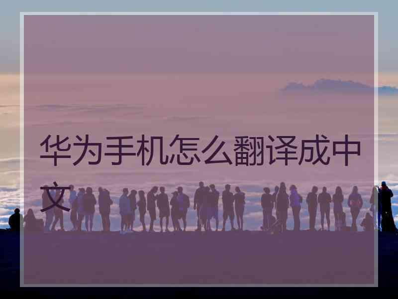 华为手机怎么翻译成中文