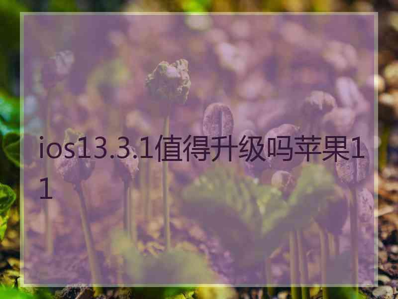 ios13.3.1值得升级吗苹果11