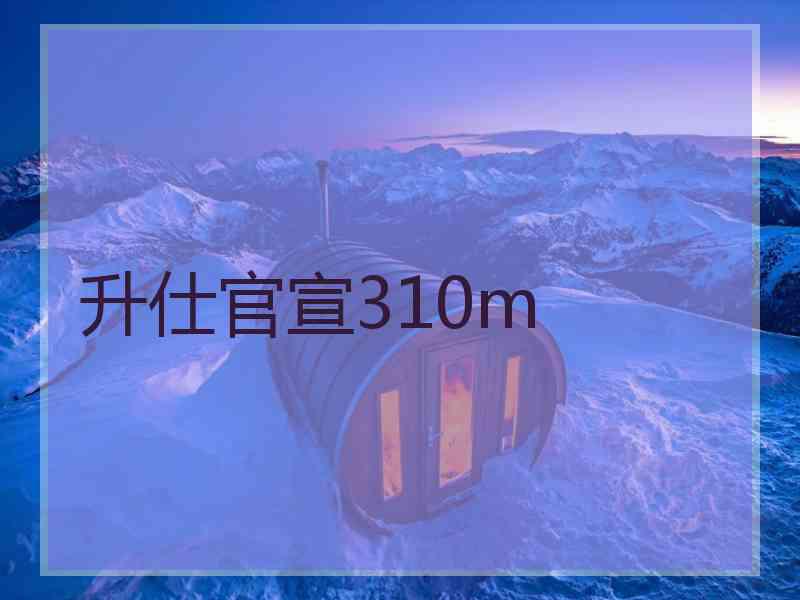 升仕官宣310m