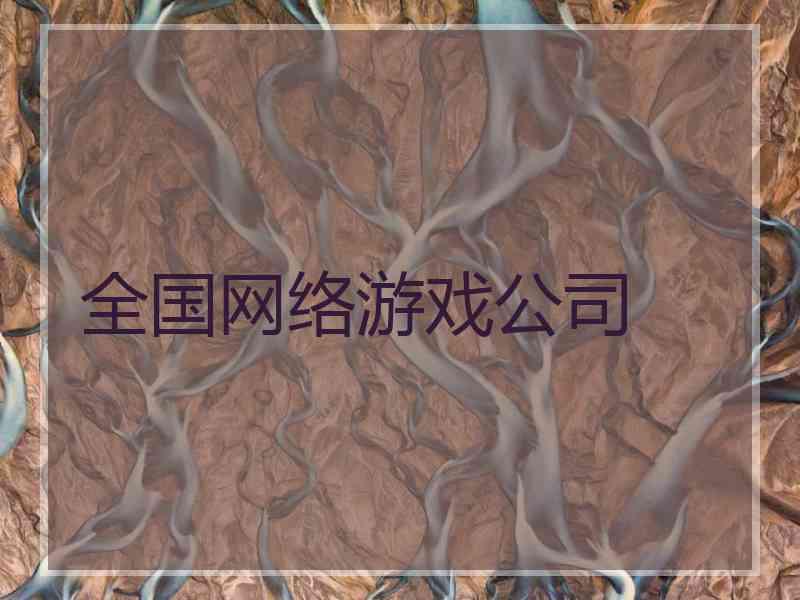 全国网络游戏公司