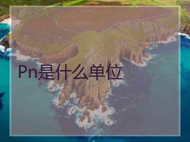 Pn是什么单位
