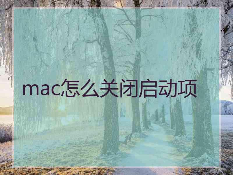 mac怎么关闭启动项
