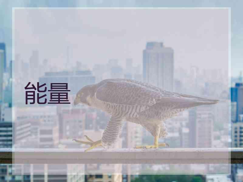 能量
