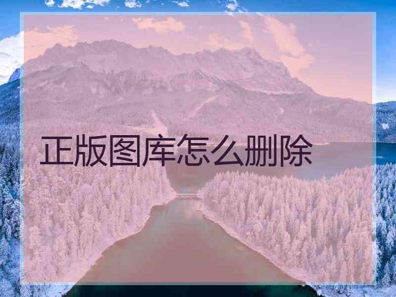 正版图库怎么删除