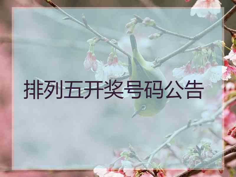排列五开奖号码公告