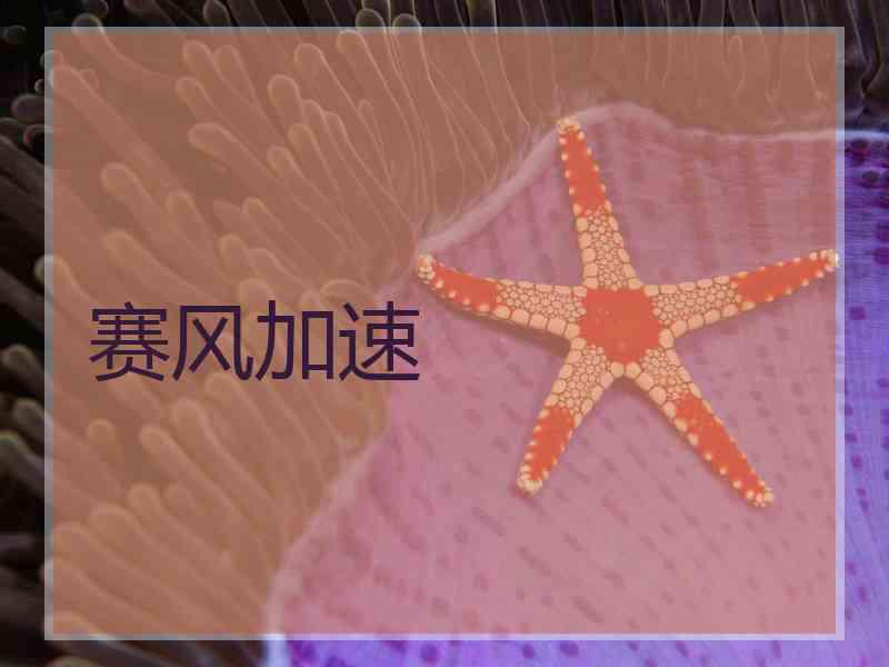 赛风加速