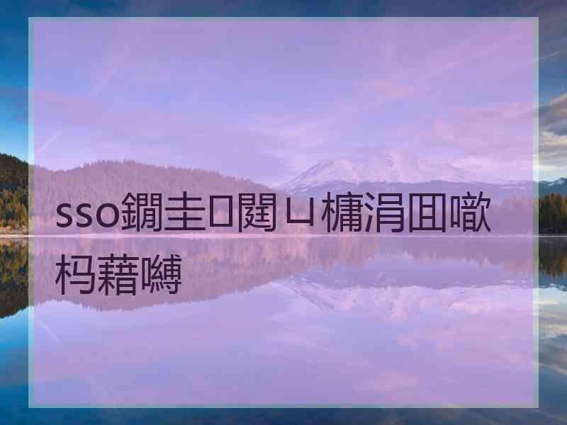 sso鐗圭閮ㄩ槦涓囬噷杩藉嚩