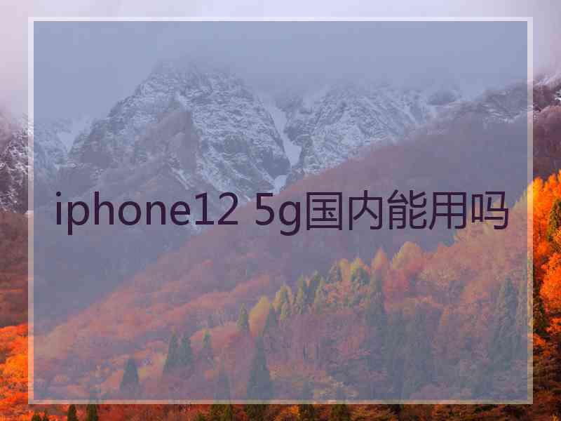 iphone12 5g国内能用吗
