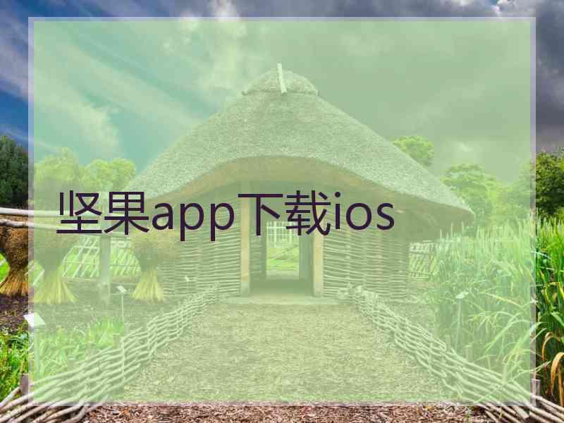 坚果app下载ios