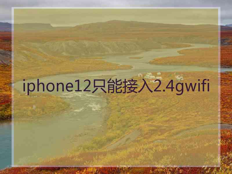 iphone12只能接入2.4gwifi
