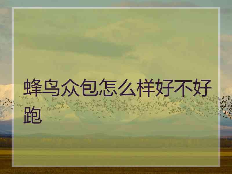 蜂鸟众包怎么样好不好跑