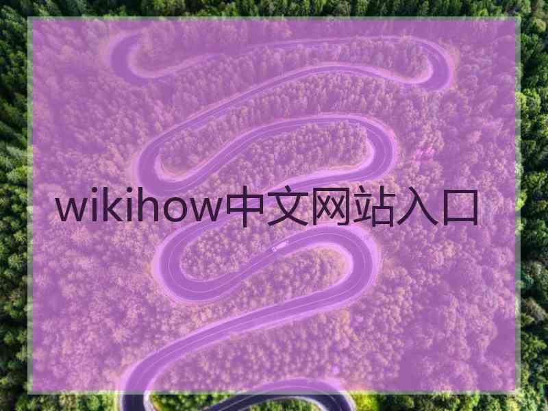 wikihow中文网站入口