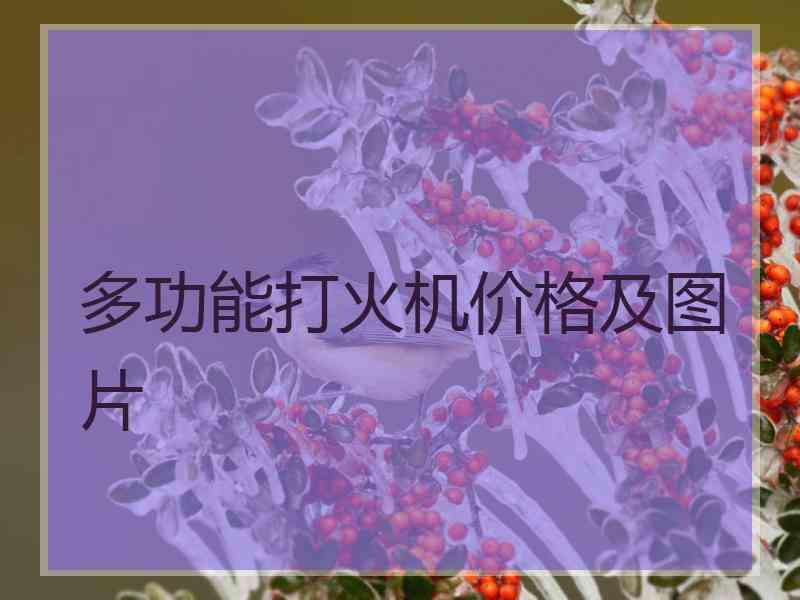 多功能打火机价格及图片
