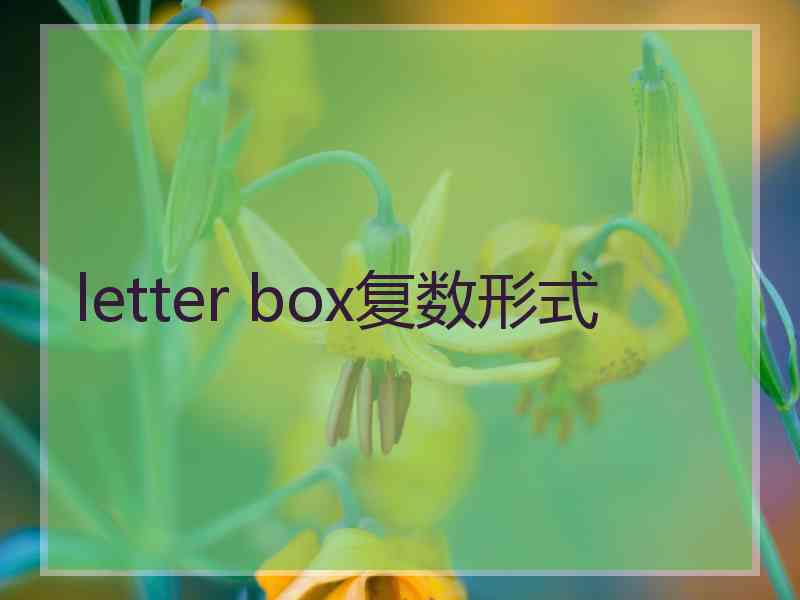 letter box复数形式