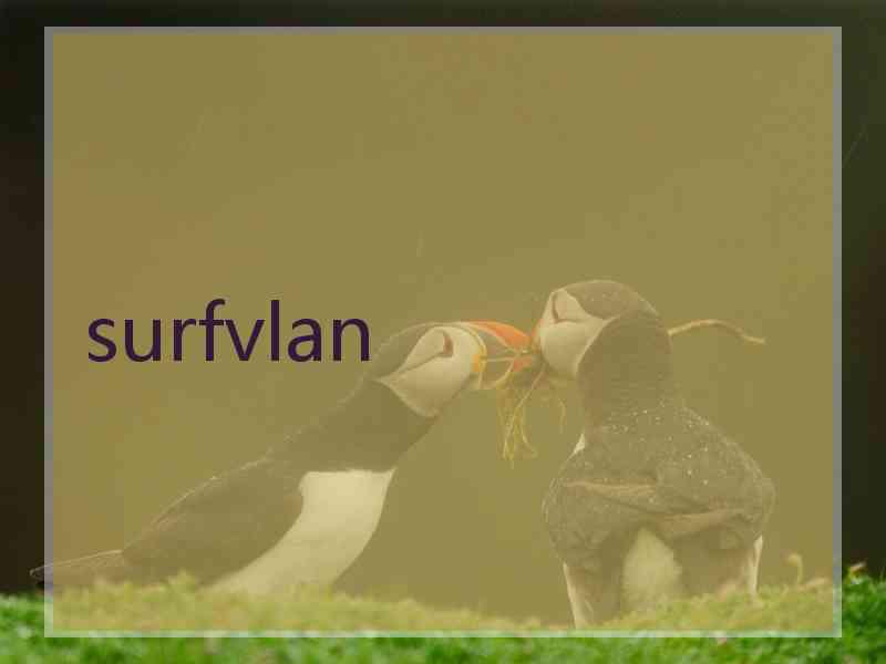 surfvlan