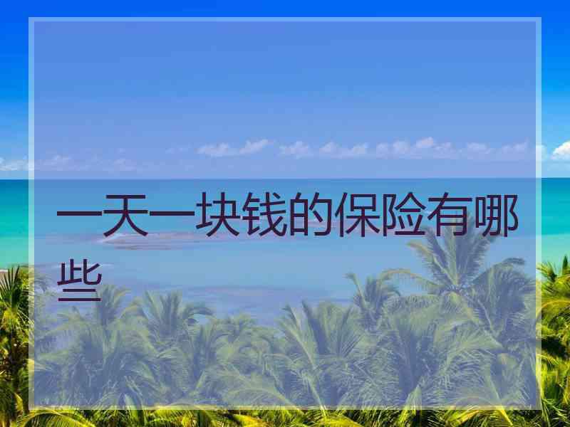 一天一块钱的保险有哪些