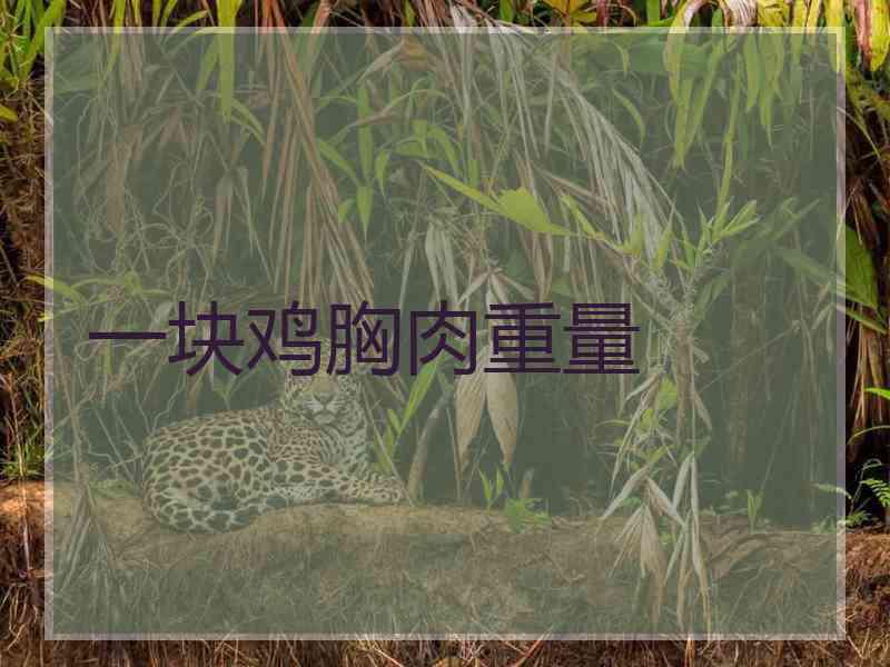 一块鸡胸肉重量