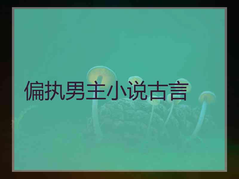 偏执男主小说古言