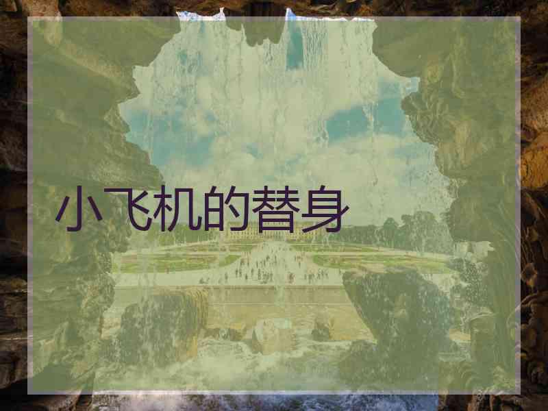 小飞机的替身