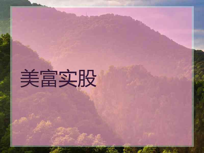 美富实股
