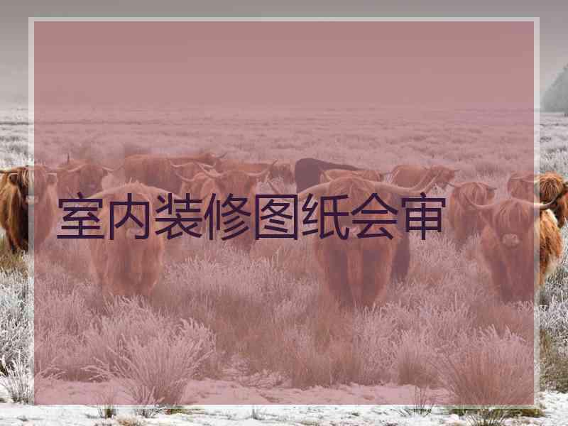 室内装修图纸会审