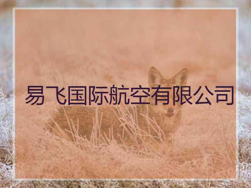 易飞国际航空有限公司