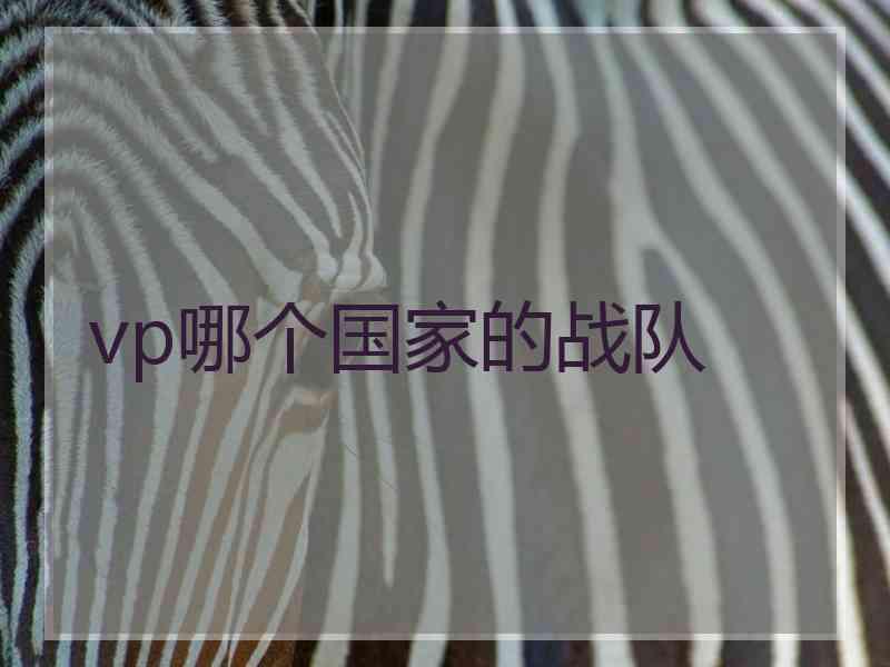 vp哪个国家的战队