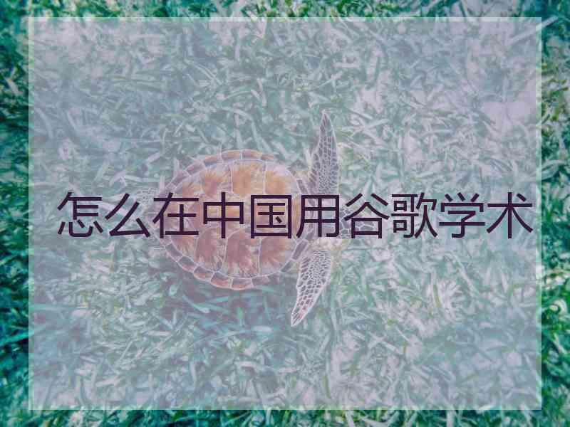 怎么在中国用谷歌学术
