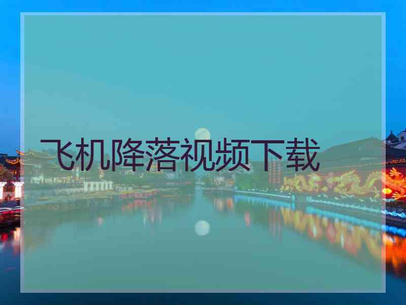 飞机降落视频下载