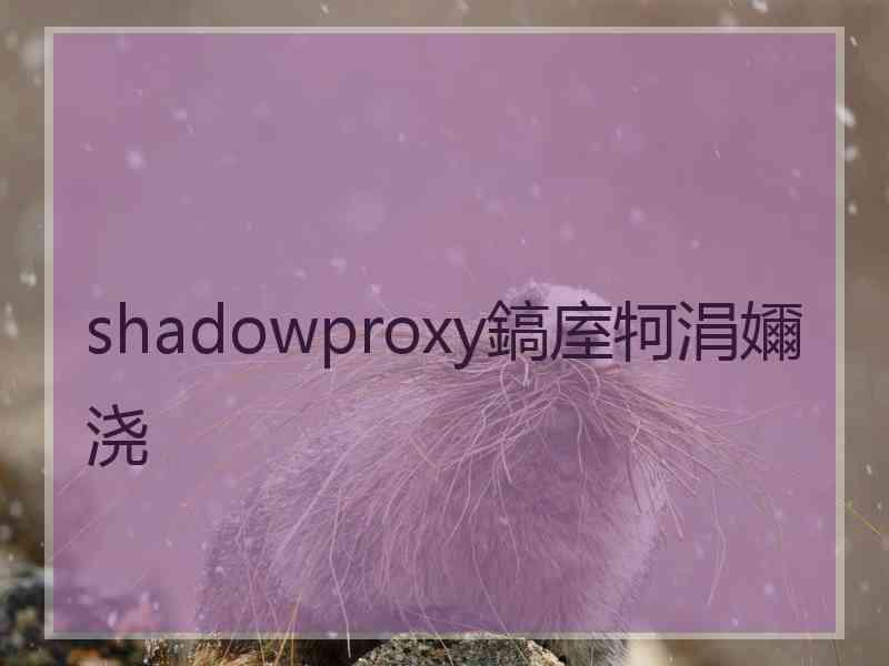 shadowproxy鎬庢牱涓嬭浇