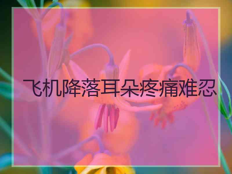 飞机降落耳朵疼痛难忍