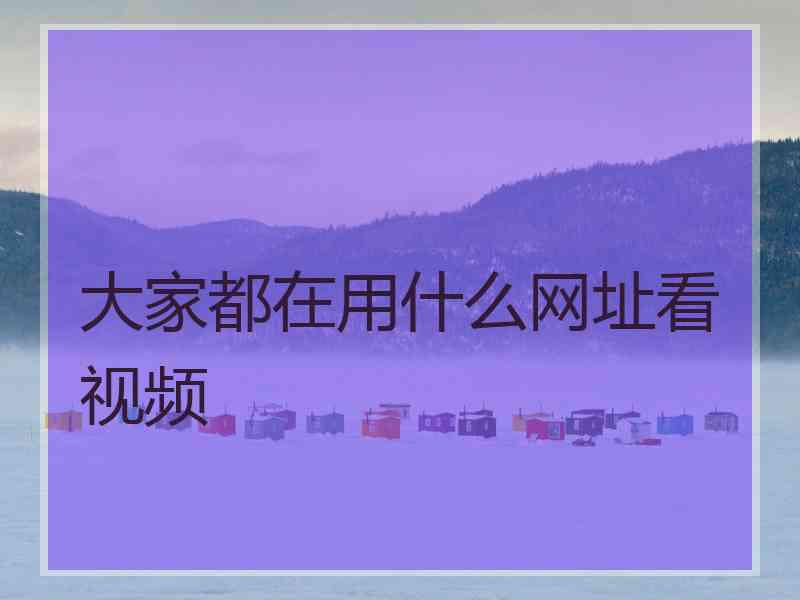 大家都在用什么网址看视频