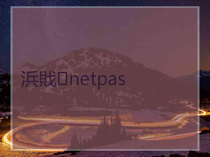 浜戝netpas