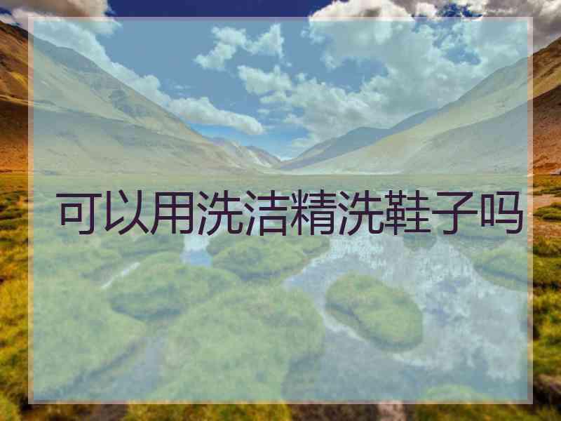 可以用洗洁精洗鞋子吗