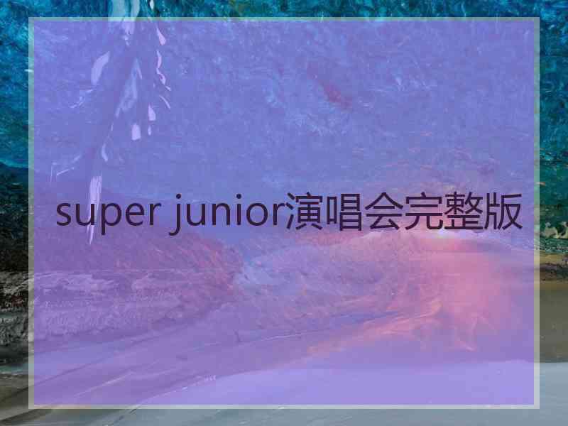 super junior演唱会完整版