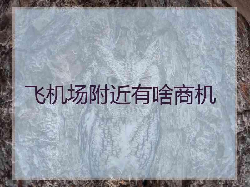 飞机场附近有啥商机