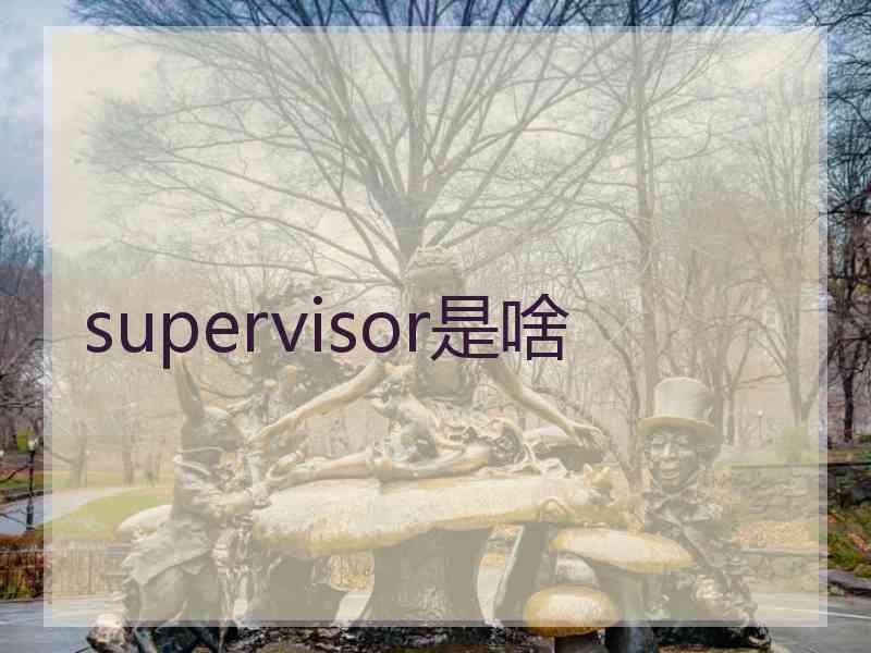 supervisor是啥