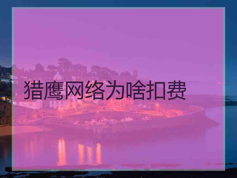 猎鹰网络为啥扣费
