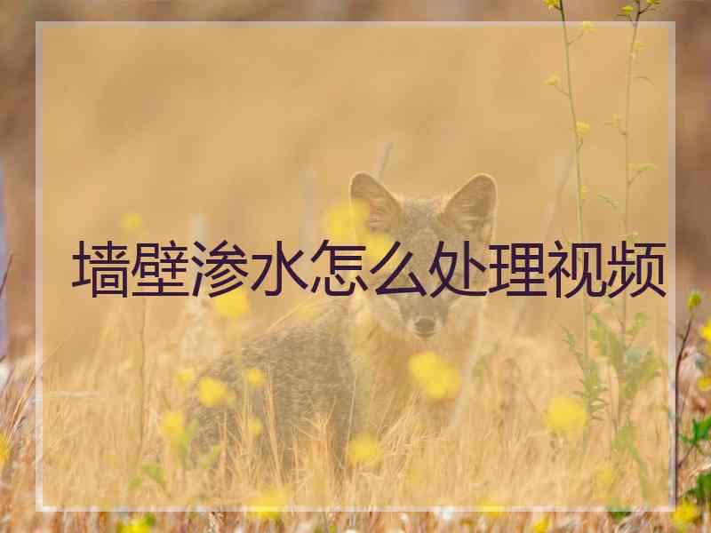 墙壁渗水怎么处理视频