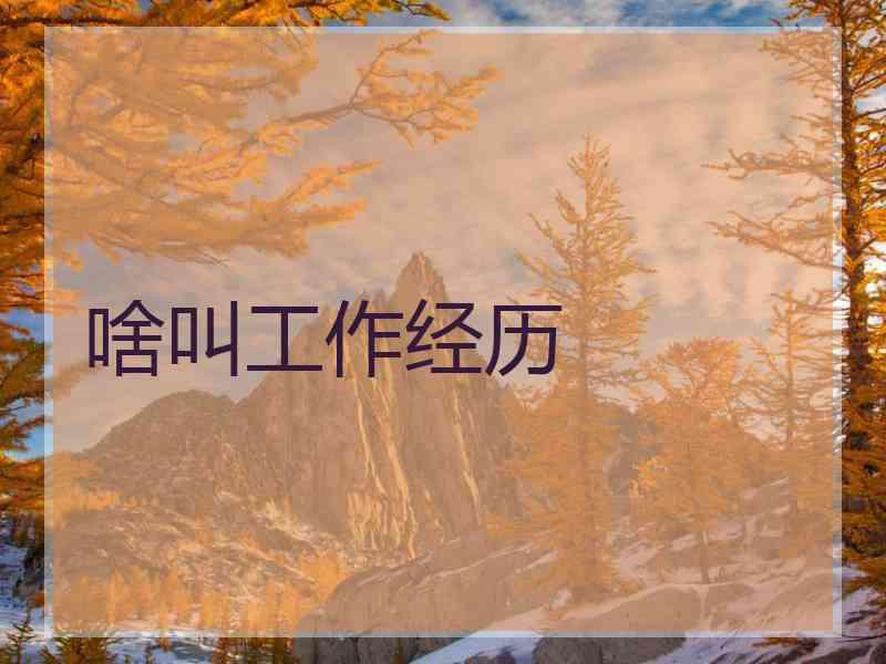 啥叫工作经历