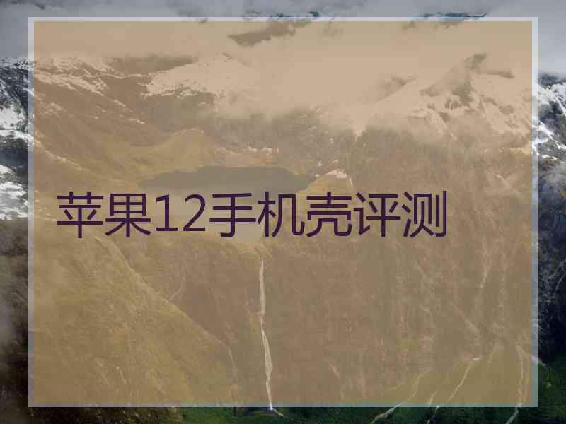 苹果12手机壳评测