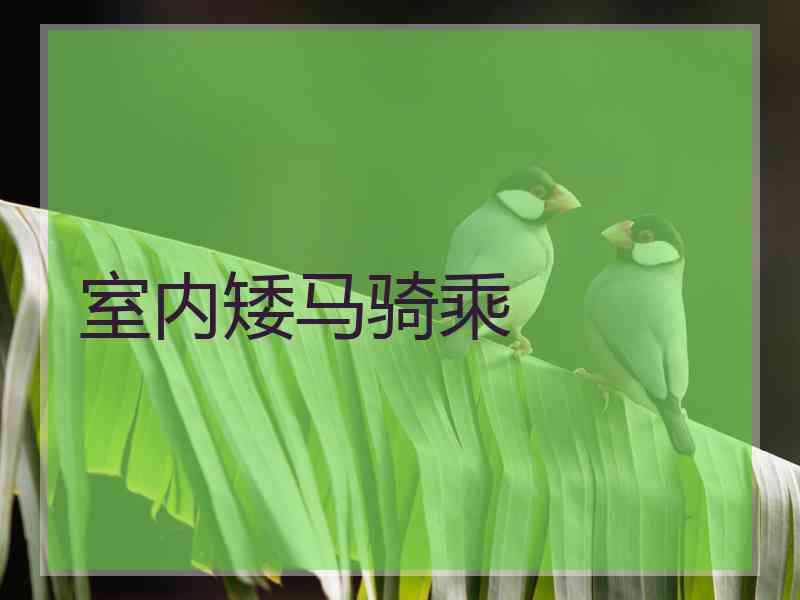室内矮马骑乘
