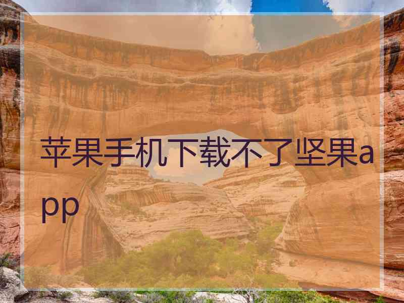 苹果手机下载不了坚果app